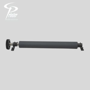 Kit de Rodillos Zebra GT800 Series – P1025950-008